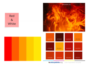 Screenshot of branding session focusing on branding colours; reds and yellows